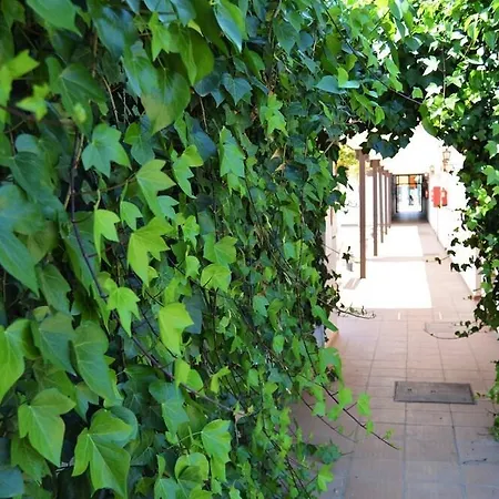 Ośrodek wypoczynkowy Complejo Turistico Rural Nazaret De